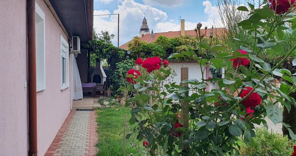 Apartman Ksenija Ðakovo Kültér fotó